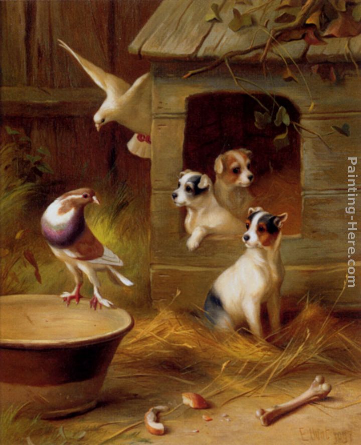 Pigeons And Puppies painting - Edgar Hunt Pigeons And Puppies art painting